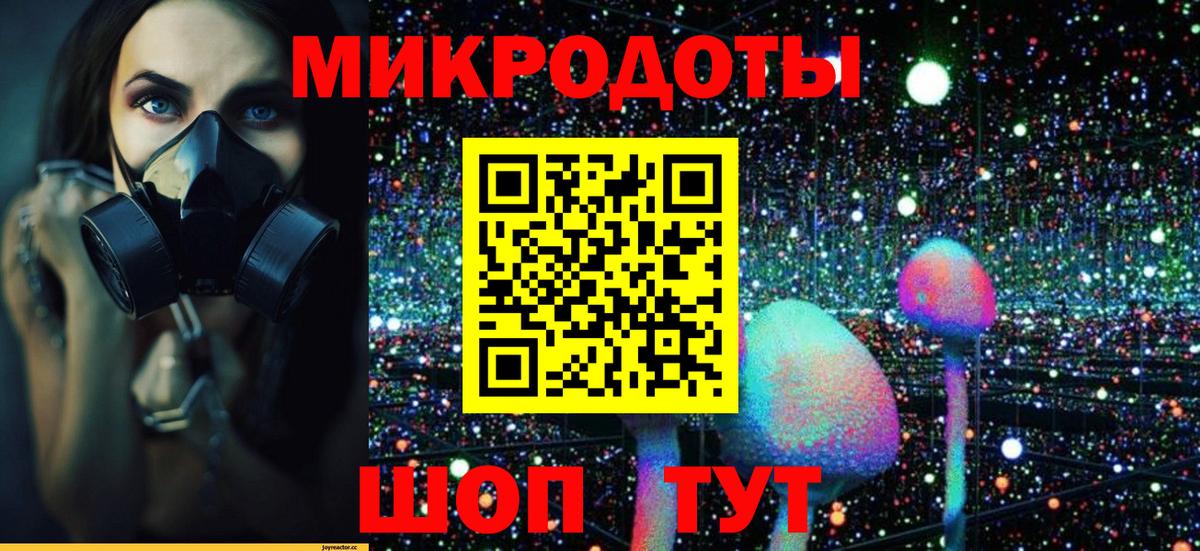 Галлюциногенные грибы мицелий  Вход с VPN  Шебекино 